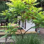 Family нouse -нotel Asai Hotel