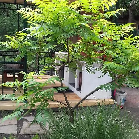 Family нouse -нotel Asai 호텔