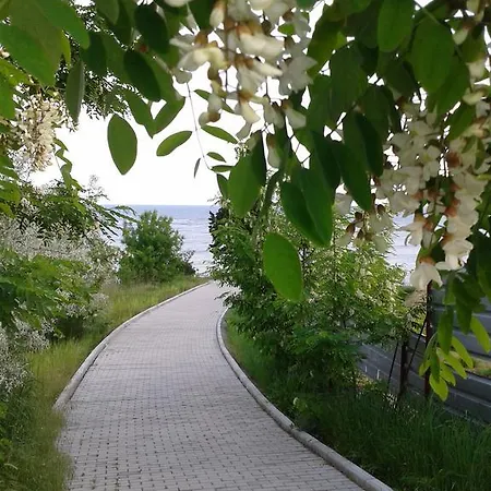 Family нouse -нotel Asai 호텔