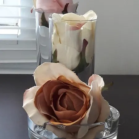 Family нouse -нotel Asai 호텔