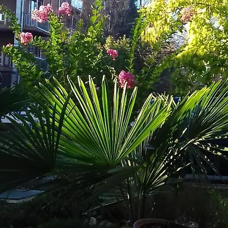 Ξενοδοχείο Family нouse -нotel Asai